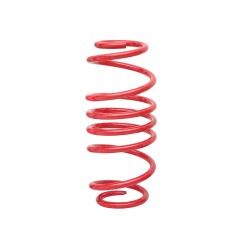 Redline Coilover Kit suitable for Fiesta JH and JD 1.25, 1.3, 1.4, 1.6, 1.4TDCi, 1.6TDCi, year 11.2001 - 2008 and Ford Fiesta ST 2.0 year 11.2004 - 2008